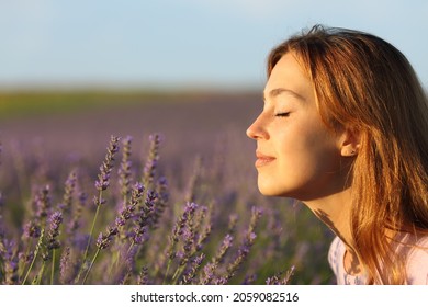 Side view portrait of a woman smelling flowers in a lavender field at sunset - Shutterstock ID 2059082516