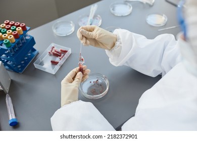 Side View Portrait Of Woman Wearing Full Protective Gear While Analyzing Blood Tests In Laboratory, Copy Space