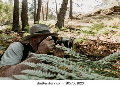 Side View Of A Professional Wildlife Photographer With A Hat And A Ring Flash Taking A Photo Between Fern Leaves In Spring During The Day.