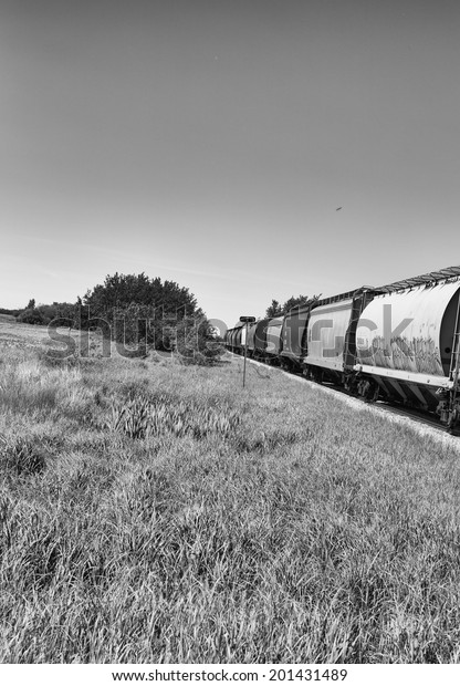 Side view of rail\
cars in rural landscape