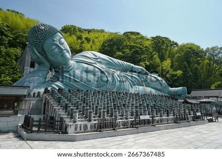Side view of the Reclining Buddha Statue, at Nanzoin Temple, in Fukuoka, Kyushu, Japan