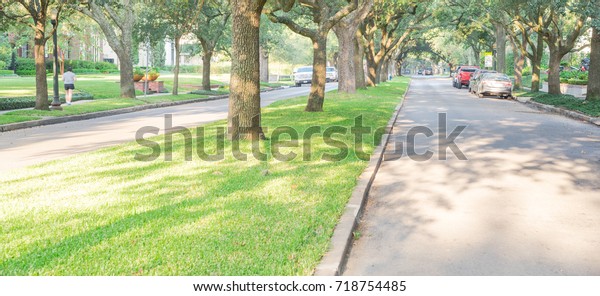 Side view of residential street covered by live\
oak arched tree at upscale neighborhood in Houston, Texas. Car\
parked side street, woman walks dog. America is excellent green,\
clean country. Panorama