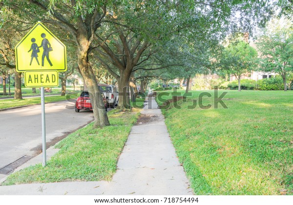 Side view of residential street covered by live\
oak arched tree branches at upscale neighborhood in Houston, Texas.\
Car parked on street, school zone sign. America is excellent green,\
clean country