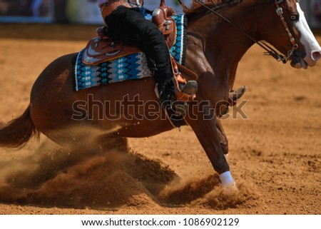 Similar – Image, Stock Photo Please don’t pet the bull.