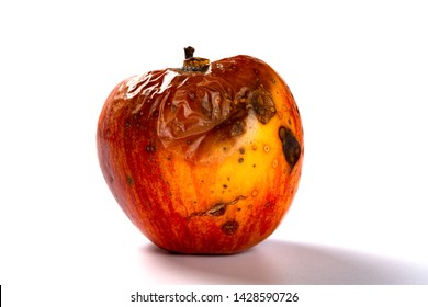 side view rotten apple on a white background