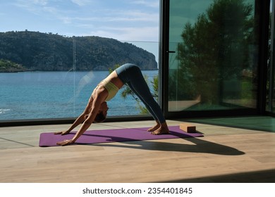 Side view of serene female in sportswear doing yoga in Adho Mukha Shvanasana on terrace on sunny day