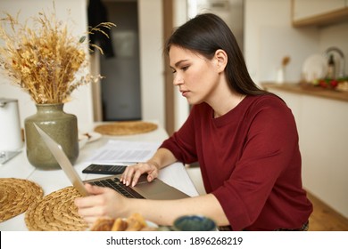 Side view of serious young female freelancer sitting at dining table in front of open laptop, reading information on screen with focused look, working from home using wireless internet connection - Shutterstock ID 1896268219