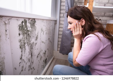 Side View Of A Shocked Young Woman Looking At Mold On Wall