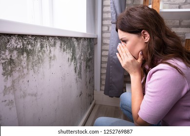 Side View Of A Shocked Young Woman Looking At Mold On Wall
