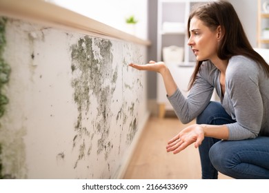 Side View Of A Shocked Young  Woman Looking At Mold On Wall - Shutterstock ID 2166433699