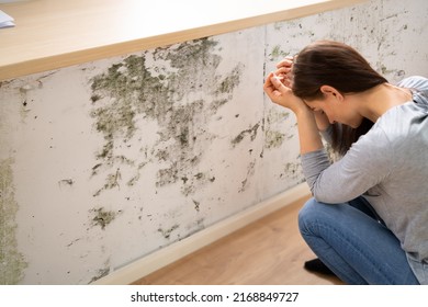 Side View Of A Shocked Young  Woman Looking At Mold On Wall - Shutterstock ID 2168849727