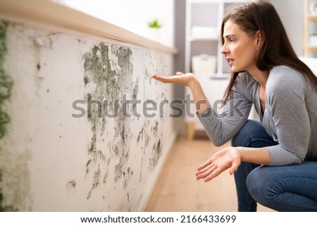 Side View Of A Shocked Young  Woman Looking At Mold On Wall 商業照片 © 