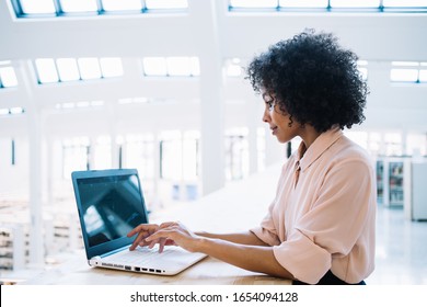 Side View Of Skilled Afro American Woman Proud Ceo Installing Application For Trading Using Company Wifi Connection For Browsing Internet On Online Web Platforms, Concept Of Communication Via Netbook