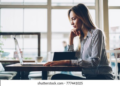 Side view of smart female copywriter concentrated on remote job preparing publication for web page sitting at netbook.Designer watching webinar to improve skills on laptop near copy space area