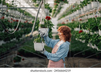 Side view of smiling botanist standing at greenhouse with flowerpot in hands and taking care of flowers and saplings. Happy horticulturist with gloves, in apron cultivating hanging plants and flowers. - Powered by Shutterstock