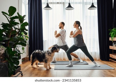 Side view of smiling couple standing in yoga pose on fitness mats near border collie at home - Powered by Shutterstock