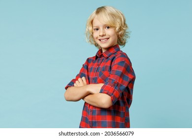Side view of smiling little curly kid boy 10s years old in red checkered shirt holding hands crossed looking camera isolated on blue background children studio portrait. Childhood lifestyle concept