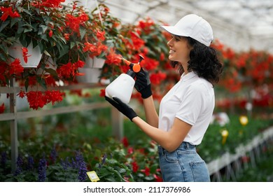 Side View Of Smiling Woman In White Cap And Black Gloves Watering Colorful Flowers In Pots. Competent Florist Using Spray For Taking Care Of Various Plants At Greenhouse.