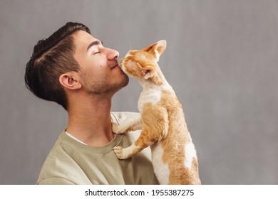 Side view of smiling young handsome man with closed eyes holding and kissing muzzle cute Devon rex cat on gray background with copy space.  - Powered by Shutterstock