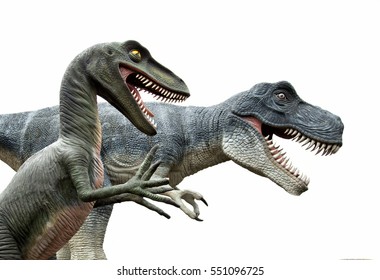 Side View Of Two Angry Dinosaurs Isolated On White