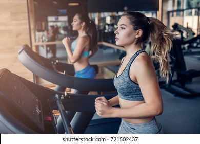 Side view of two attractive sports women on running track. Girls on treadmill - Shutterstock ID 721502437