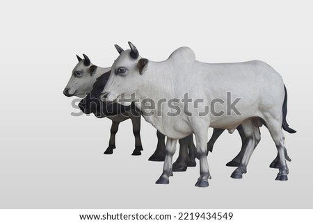 side view, two cows, white and black cows and two black buffalo are standing and looking on white background, animal, object, decor, copy space