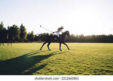 Side view of unrecognizable female jockey riding horse and playing Polo on green meadow against cloudless sky during training in summer - Powered by Shutterstock