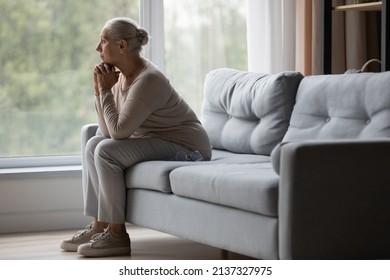 Side view upset older woman sit on sofa alone looking out window, thinking about problems, remembering moments of life, misses her children, feeling loneliness. Memories, grieving, solitude concept