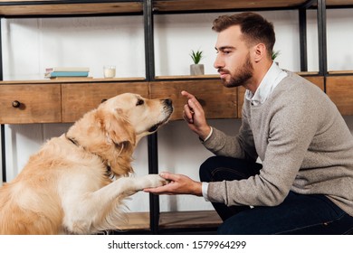 Side view of visually impaired man training golden retriever at home - Shutterstock ID 1579964299
