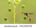 Side View From Yellow Jacket