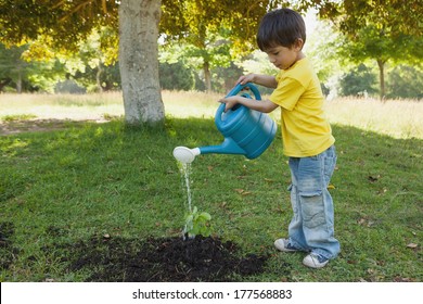 Side view of a young boy watering a young plant in the park