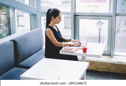 Side View Of Young Concentrated Female Sitting At Table With Straight Back With Paper Cup Of Coffee And Smartphone While Working On Laptop