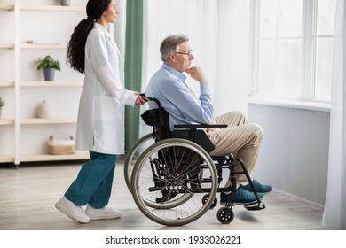 Side view of young doctor helping elderly disabled man in wheelchair, indoors. Nurse taking care of handicapped male patient at home, providing medical assistance to impaired senior adult