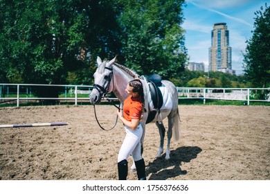 Side View Of Young Female With Braids In Jockey Outfit Holding Harness White Horse In Stadium In Sunny Summer Day