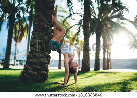 Side view of young flexible lady in shorts and top standing on hands near palm tree while practicing yoga in summer day