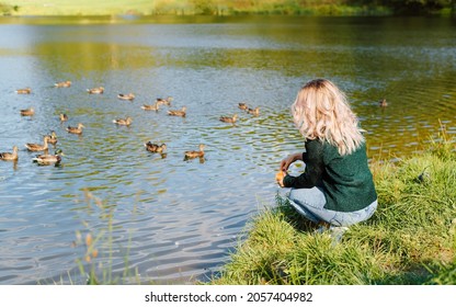 Side view of young woman in casual clothes sitting on shore near water and feeding ducks in nature. Selective focus on blonde girl throwing food to wild birds floating on lake.