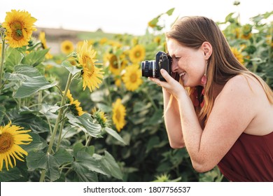 Side View Of Young Woman Taking Picture Of Sunflower Using Camera In Farm. High Quality Photo