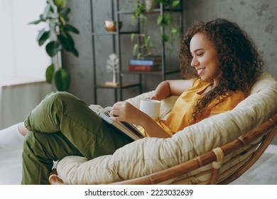 Side view young woman  wear casual clothes drink coffee read novel book sits in armchair stay at home flat rest relax spend free spare time in living room indoor grey wall - Powered by Shutterstock