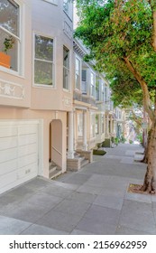 Side Walk With Concrete Slabs And Columnar Trees At San Francisco Neighborhood In California