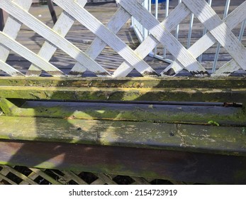 The Side Of A Wooden Deck With Moss And Mildew Having Turned The Wood Green.