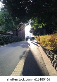 Sidewalk