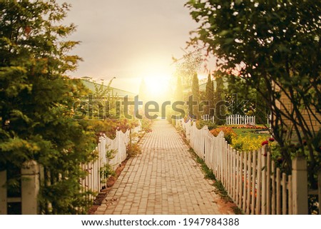Sidewalk between cottages and gardens to rising sun. Small fences around road. Summer landscape. Bright sunlight at end of street.