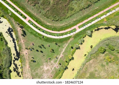 Sidewalk And Bike Path, Top View