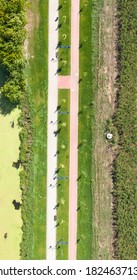 Sidewalk And Bike Path, Top View