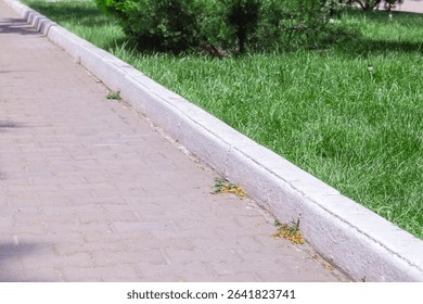 Sidewalk with a brick border and a tree in the background. The sidewalk is empty and the grass is green