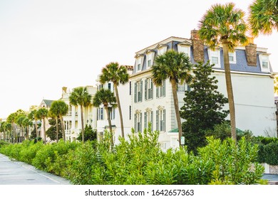 A Sidewalk Passes Old World Homes and Palmetto Trees Facing the Harbor