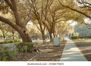 Sidewalk pathway under lush green tree lined street near City Hall in downtown Farmers Branch, Texas, suburb Dallas County, DFW metroplex, lush greenery Southern oak, well maintained landscape. USA - Powered by Shutterstock