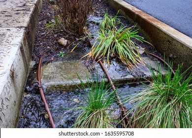 603 Sidewalk irrigation Images, Stock Photos & Vectors | Shutterstock