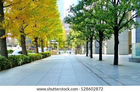 sidewalk with yellow tree during autumn season in Tokyo Japan