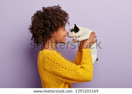 schwarzer Hund spielt mit Stock